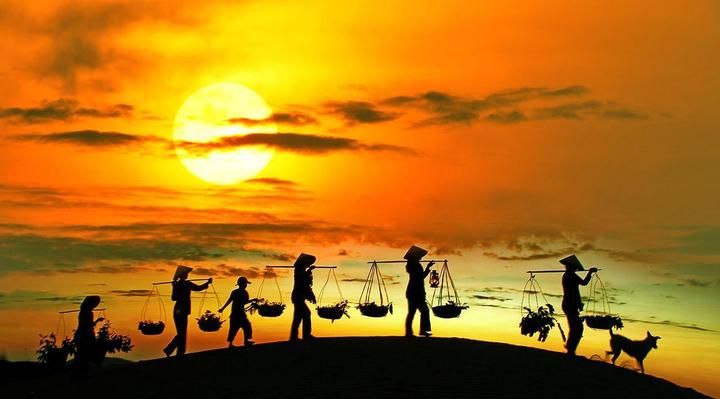 Video ngắn: Cánh đồng lời kể, nông sản sạch