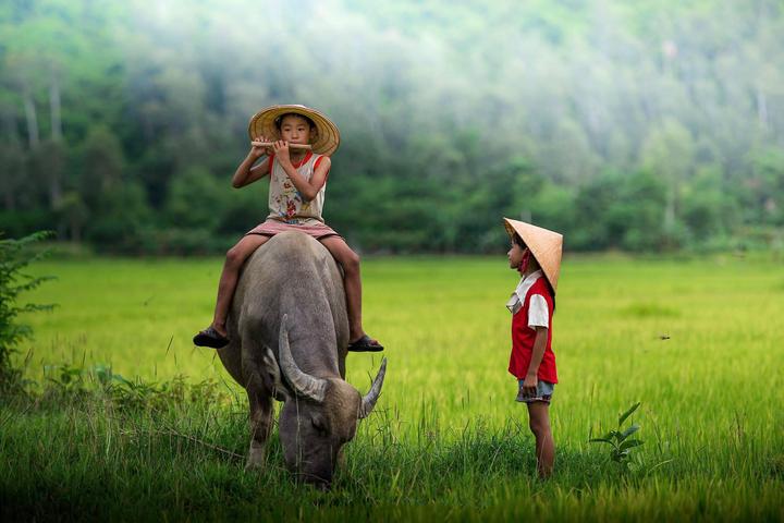 Hotspot Matrix và Mỹ nữ phim Trung đẹp thoát tục, khí chất tiên tử tràn khung hình và còn