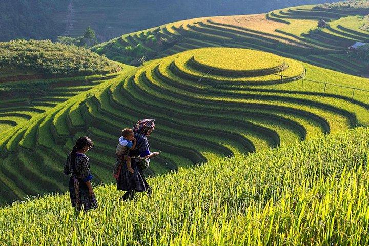 Hotspot Matrix: Nâng tầm sáng tạo, giải phóng gánh nặng vận hành