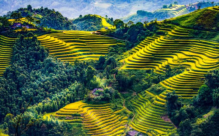 Hotspot Matrix: Đòn Bẩy Thành Công Cho Startup Của Bạn