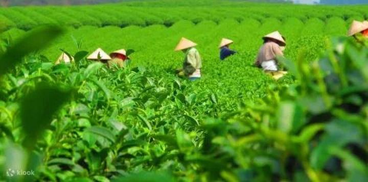 ---Bài viết 2---